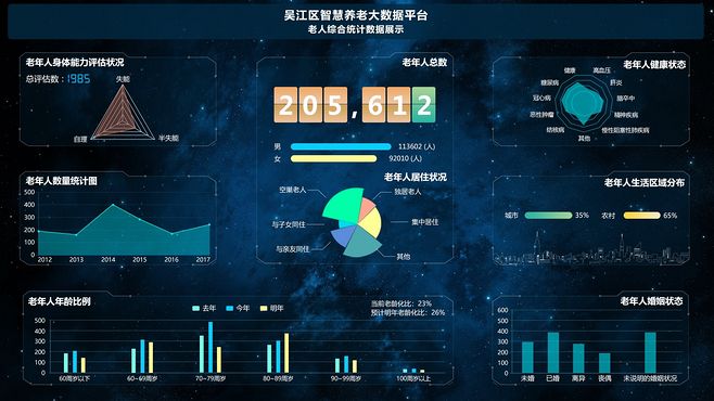智慧養(yǎng)老大數(shù)據(jù)展示UI