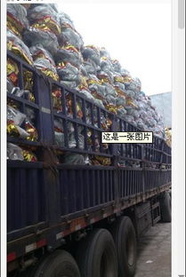 開封五金工具商行 一站式農(nóng)具批發(fā)零售與五金產(chǎn)品研發(fā)的領(lǐng)航者